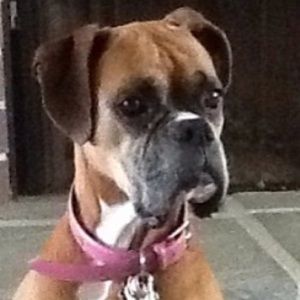 Meet your Posher, Lyssette